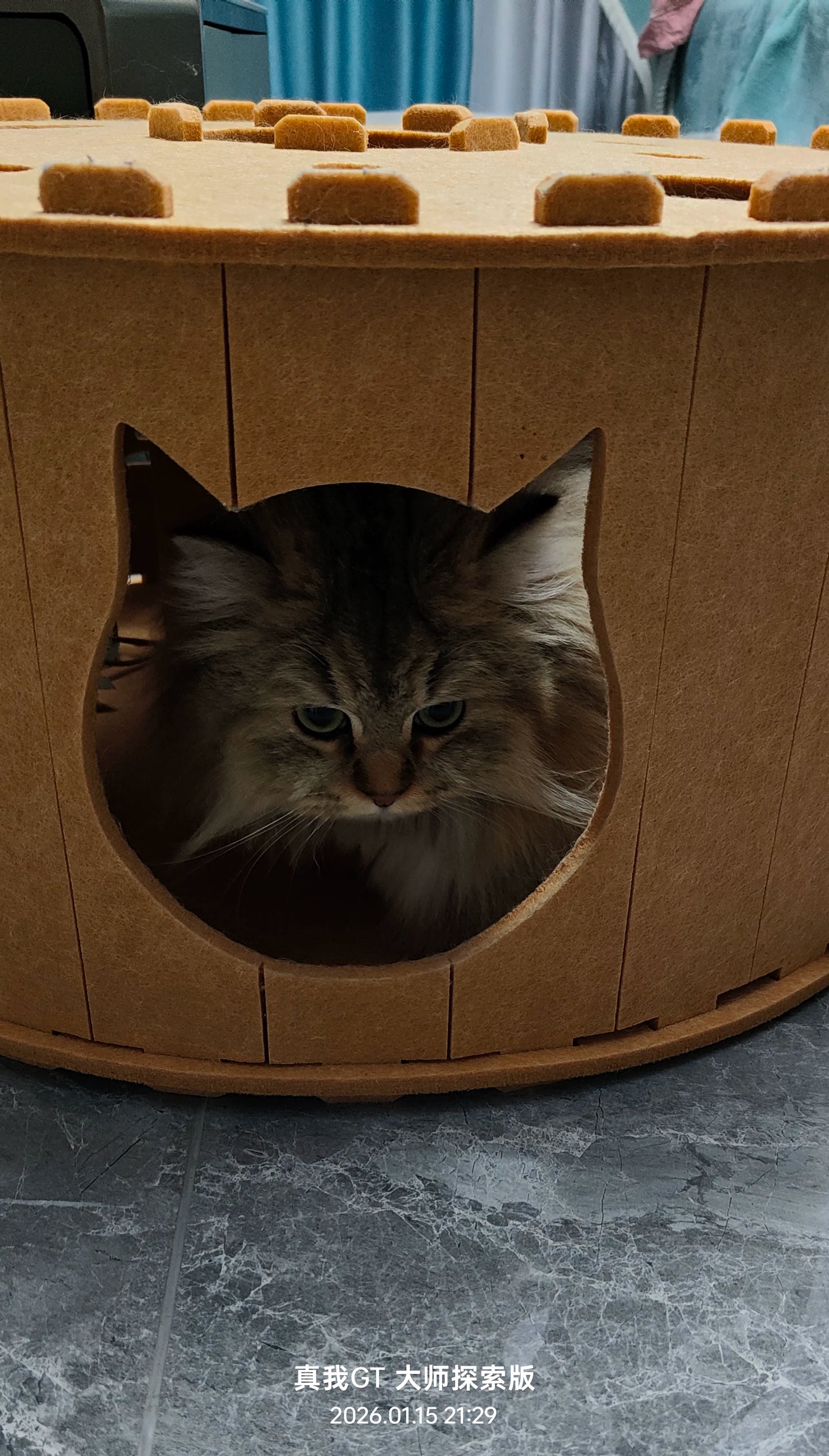 3-in-1 Felt Cat Cave & Scratcher – Cozy Hideaway for Play & Rest