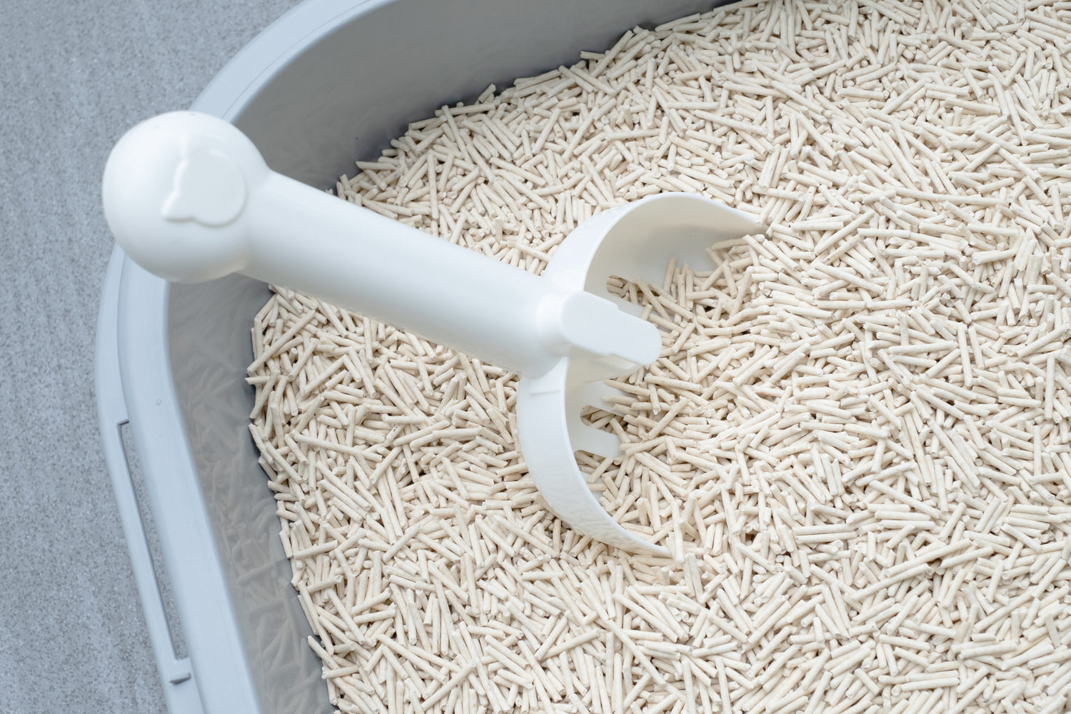 Cat Litter & Accessories