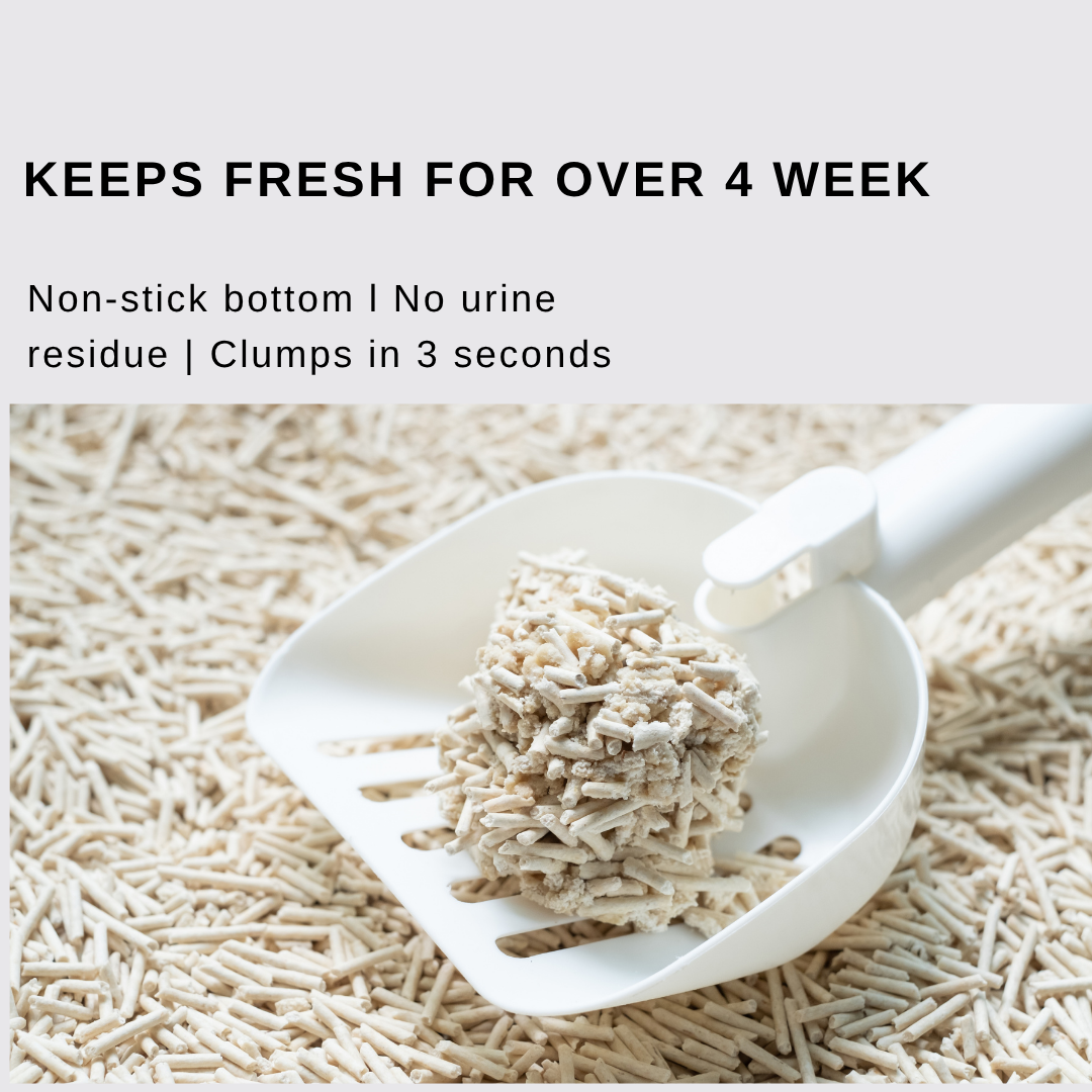 Buy 6 get 2 extra free Latutu Nature Clumping Long-Lasting Odour Control Tofu Cat Litter
