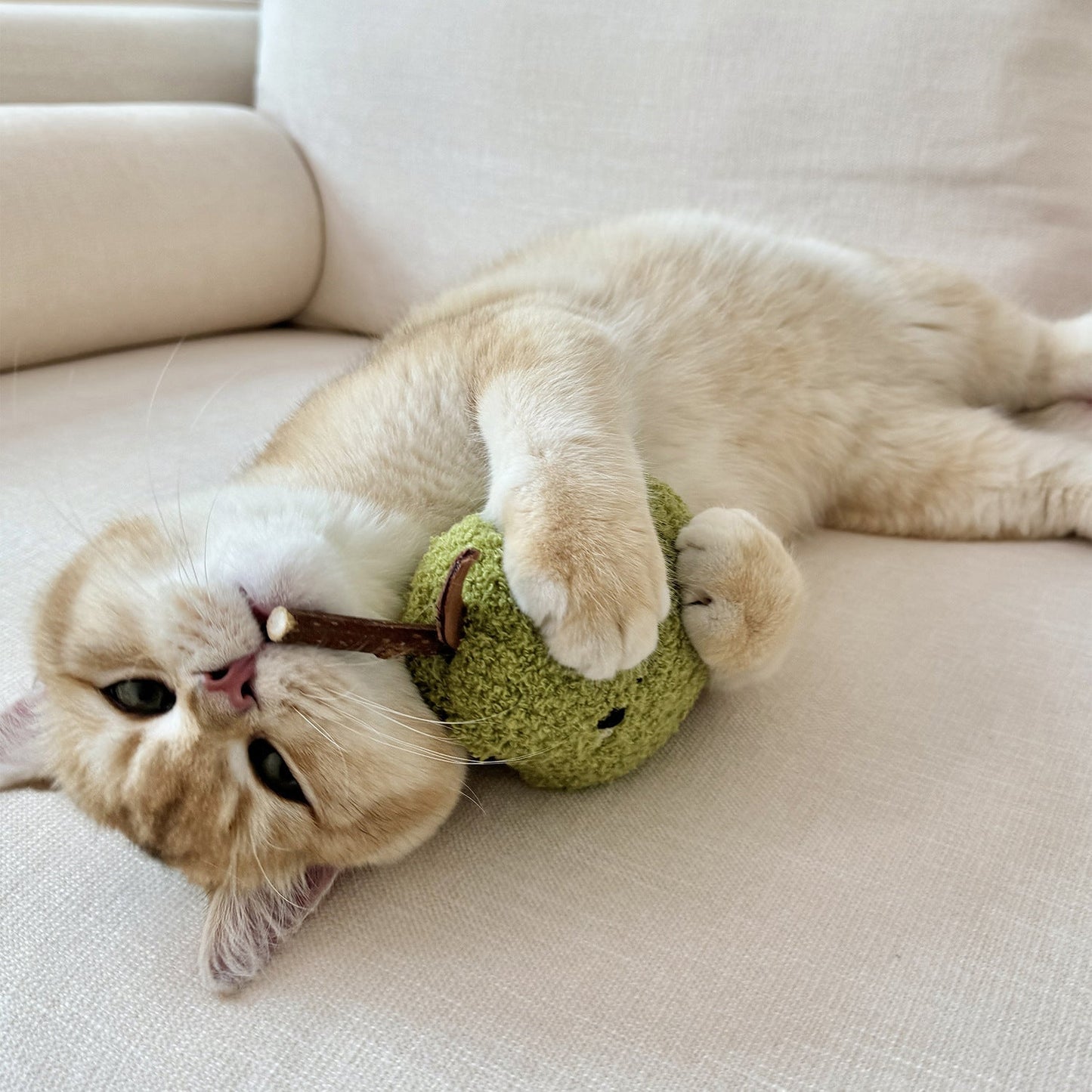 Cat Toy Plush Toys Chew & Play