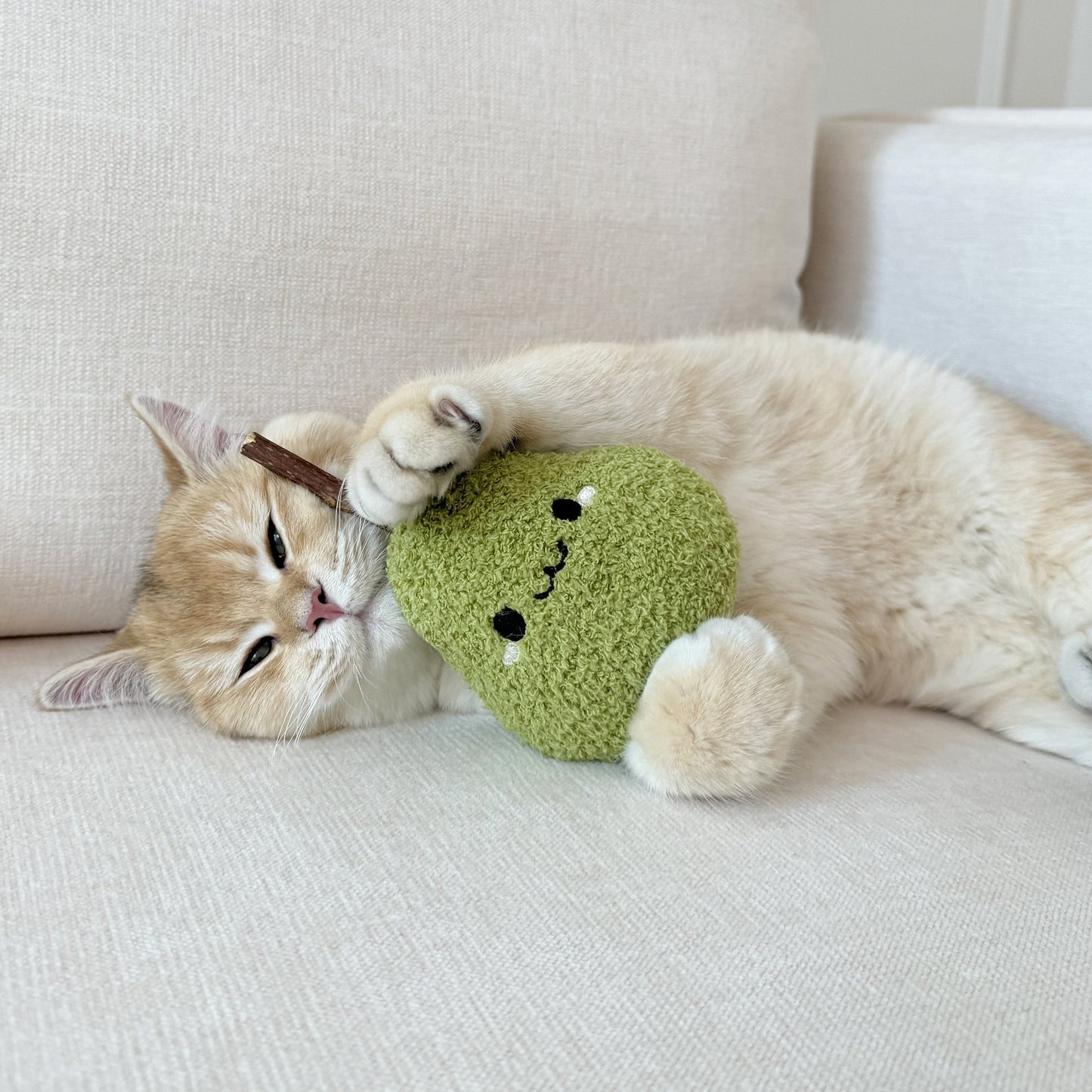 Cat Toy Plush Toys Chew & Play