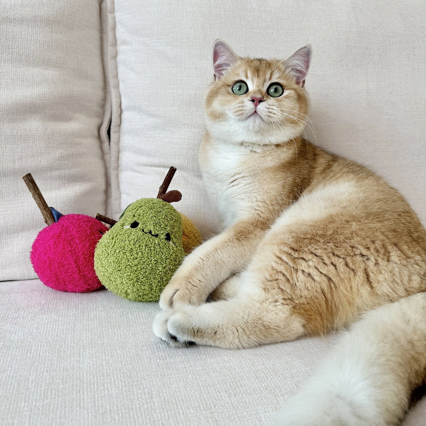 Cat Toy Plush Toys Chew & Play