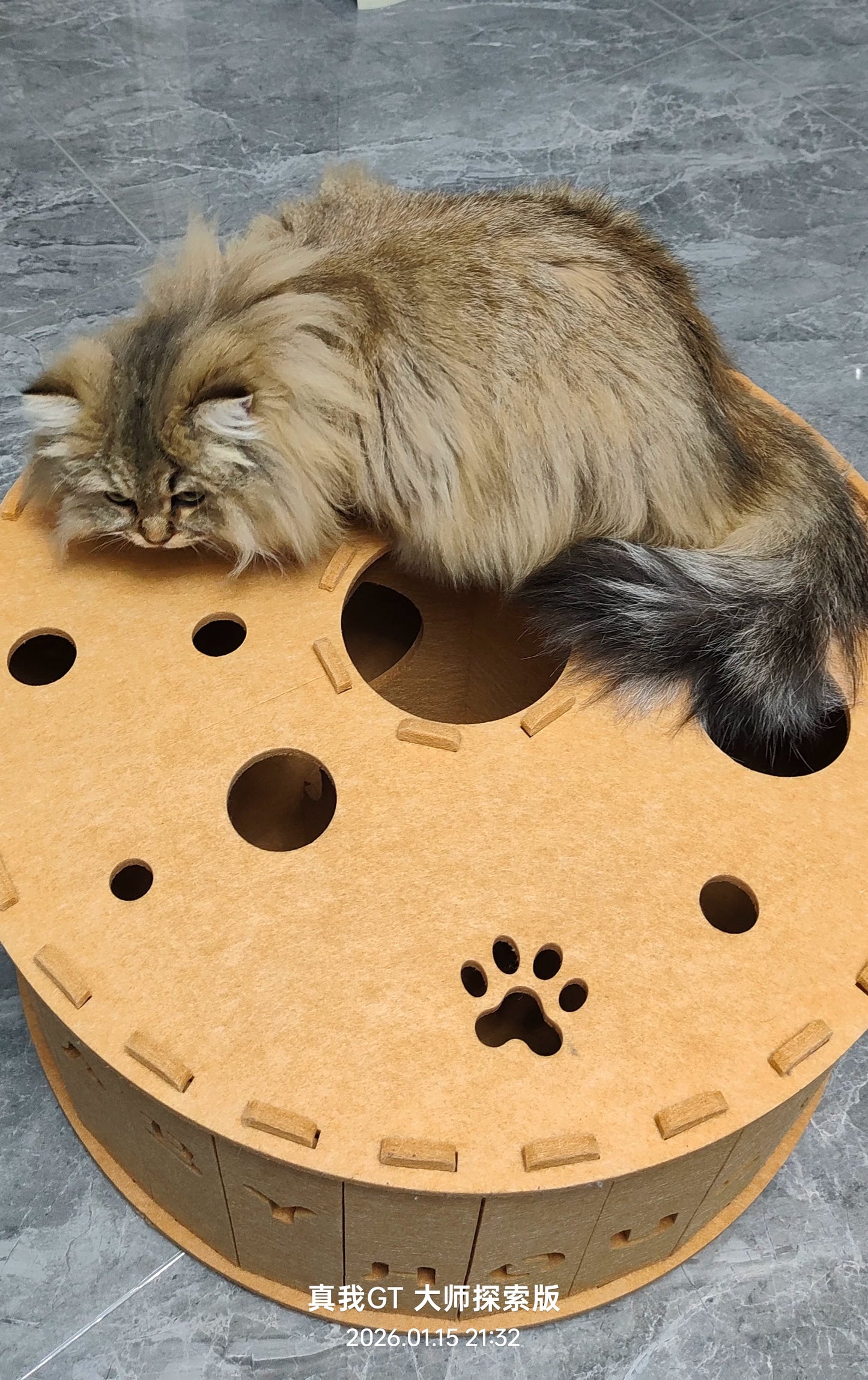 3-in-1 Felt Cat Cave & Scratcher – Cozy Hideaway for Play & Rest